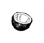 Intro Icon